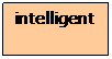 Text Box: intelligent
