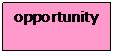 Text Box: opportunity